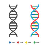 DNA Icon. Deoxyribo Nucleic Acid Vector Design.