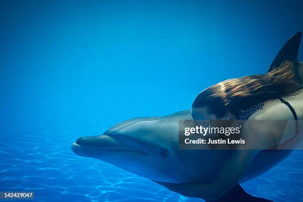 girl holding dolpin while free diving underwater - swimming with dolphins stock pictures, royalty-free photos & images