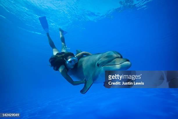 girl holding a dolphin with fins diving udnerwater - puerto vallarta stockfoto's en -beelden