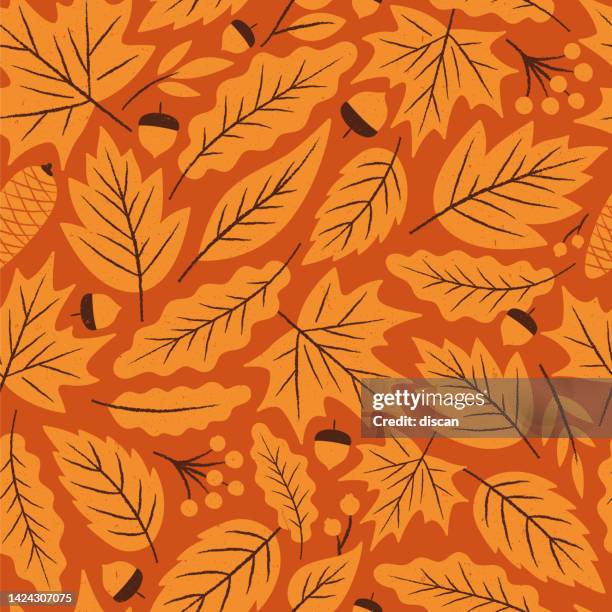 ilustraciones, imágenes clip art, dibujos animados e iconos de stock de otoño hojas de patrones sin fisuras. - autumn leaf color