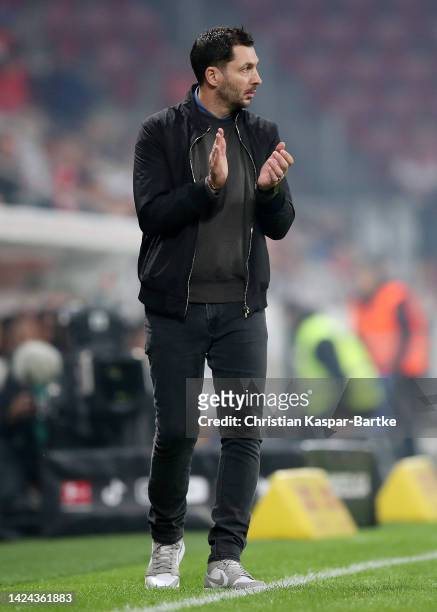 Sandro Schwarz, Manager of Hertha Berlin reacts during the Bundesliga match between 1. FSV Mainz 05 and Hertha BSC at MEWA Arena on September 16,...
