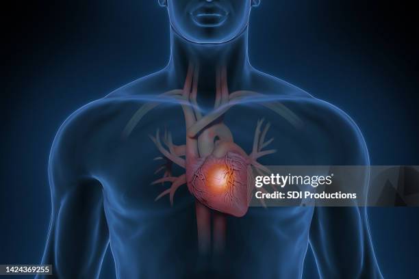 man with a healthy heart - borstkas stockfoto's en -beelden