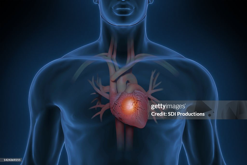 Man with a healthy heart