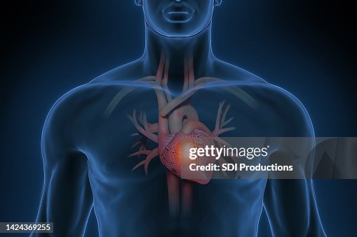 Man with a healthy heart Man with a healthy heart
