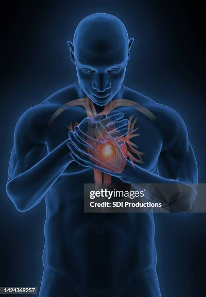 der mensch umklammert sein herz - physiologie stock-fotos und bilder