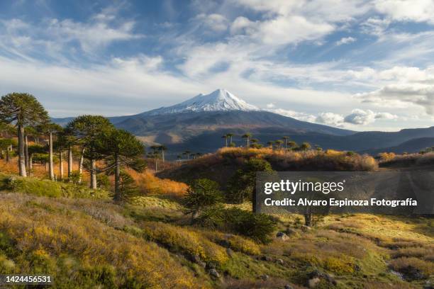 llaima volcano from the sierra nevada, conguillio national park - no 2012 chilean film stock-fotos und bilder