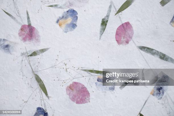 handmade recycled flower and leaf paper background. - mulberry bush foto e immagini stock