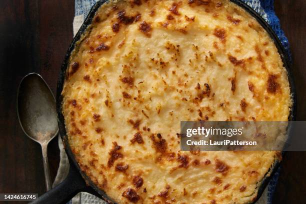 creamy chicken shepherd's pie - chicken pie stock pictures, royalty-free photos & images