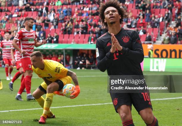 Leroy Sane of Bayern Munich reacts during the Bundesliga match between FC Augsburg and FC Bayern München at WWK-Arena on September 17, 2022 in...
