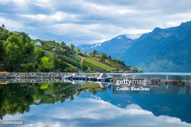 hardangerfjord in norway - hardangerfjord ストックフォトと画像