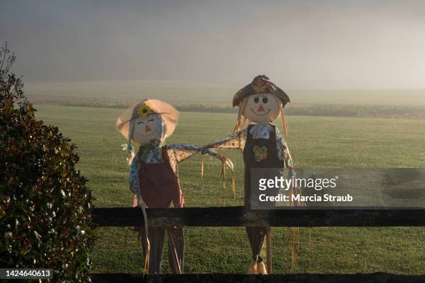 fall scarecrows on rustic fence - scarecrow stock pictures, royalty-free photos & images