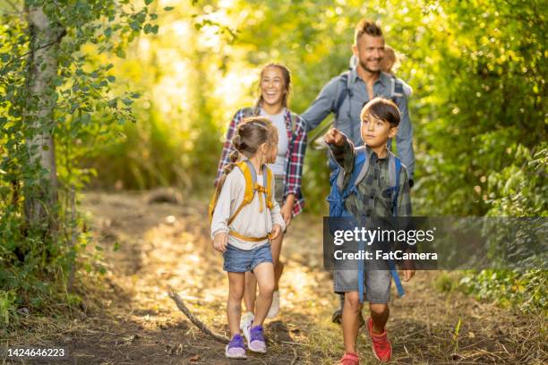 family hiking together - one and a half summer stock pictures, royalty-free photos & images