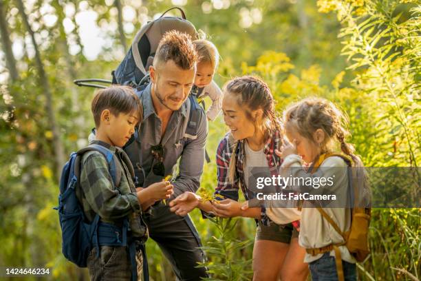 exploring nature as a family - travel and canada and fall stockfoto's en -beelden