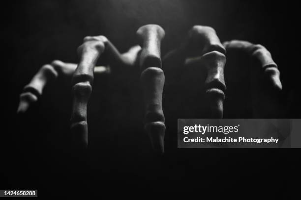 skeleton hand reaching for you out of the dark - skelett hand stock-fotos und bilder
