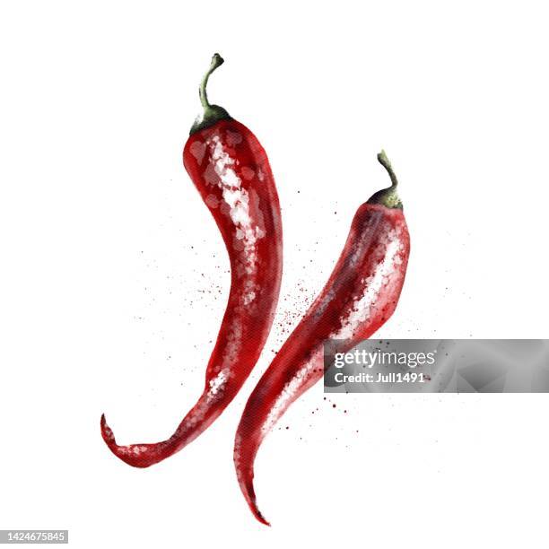 watercolor hot chili pepper on a white background - spice stock illustrations