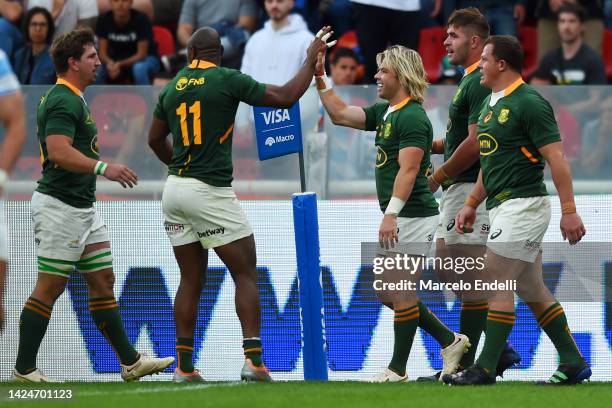 Markx Springbok Springbok Rugby Player Photos and Premium High Res Pictures - Getty Images