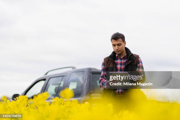 young farmer inspecting his crops using digital tablet - canola seed stock pictures, royalty-free photos & images
