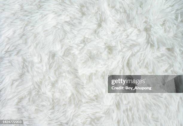 full frame shot of soft white rug background. - wool carpet stock pictures, royalty-free photos & images
