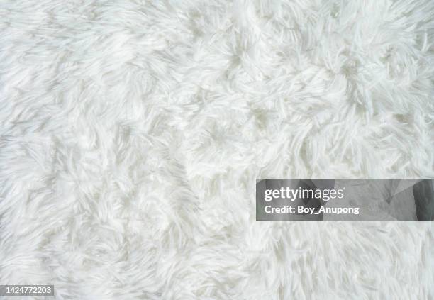 full frame shot of soft white rug background. - wool blanket stock pictures, royalty-free photos & images