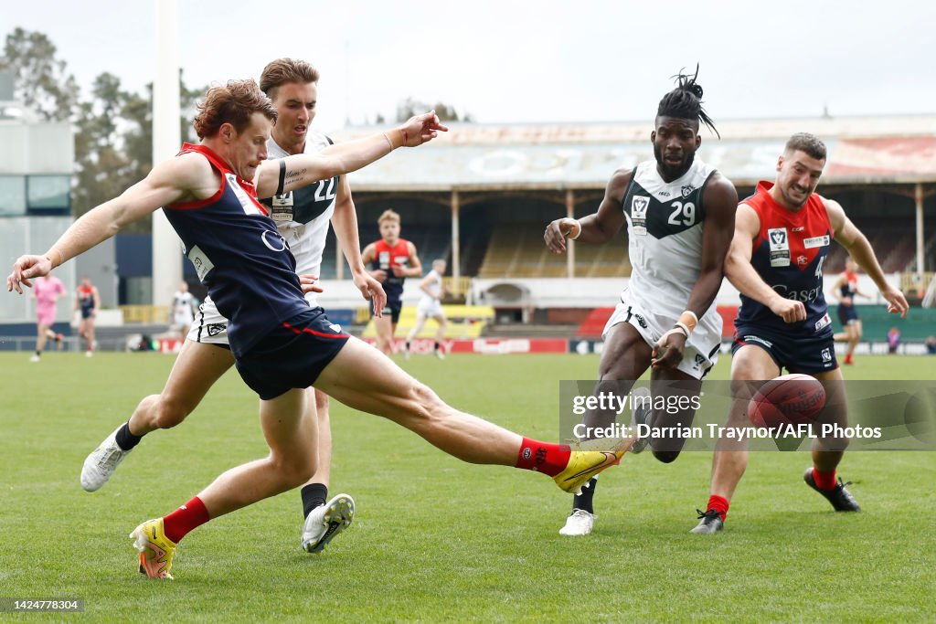 VFL Grand Final - Casey Demons v Southport Sharks