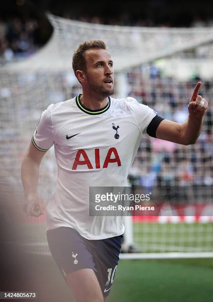 Harry Kane of Tottenham Hotspur celebrates after scoring their teams first goal during the Premier League match between Tottenham Hotspur and...