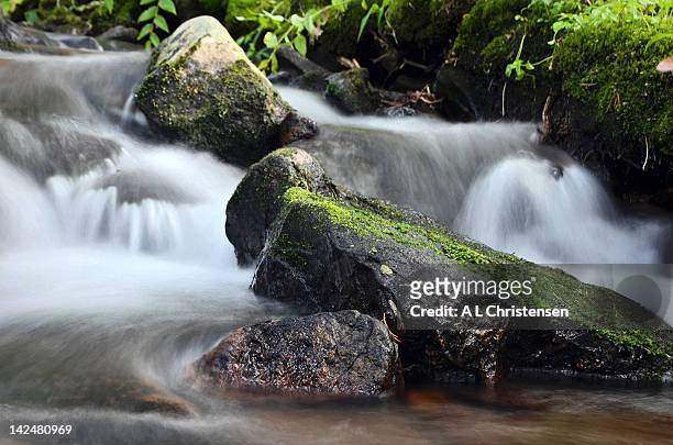 silky cascade around mossy rock - walden stock pictures, royalty-free photos & images