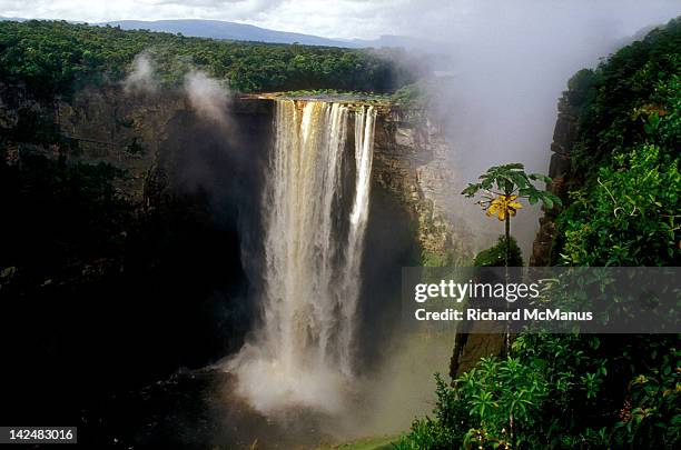 kaiteur falls - guyana stock pictures, royalty-free photos & images