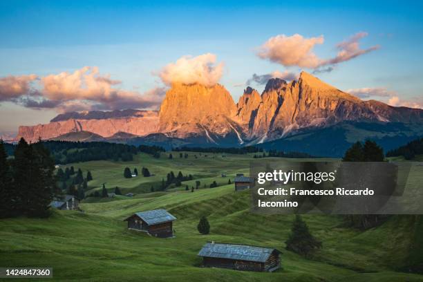 seiser alm, alpe di siusi green landscape. dolomites alps, italy - alpine chalet stock pictures, royalty-free photos & images