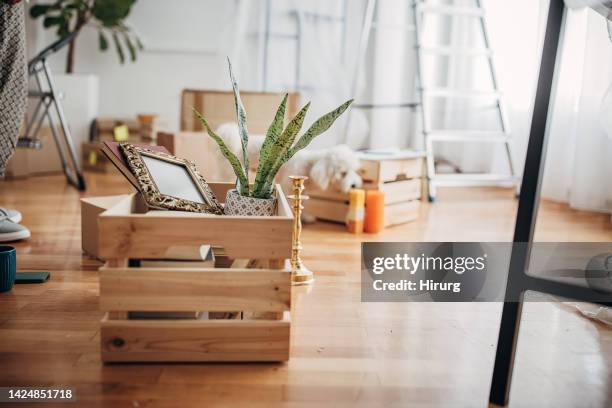 messy living room in new apartment - dog on wooden floor stock pictures, royalty-free photos & images