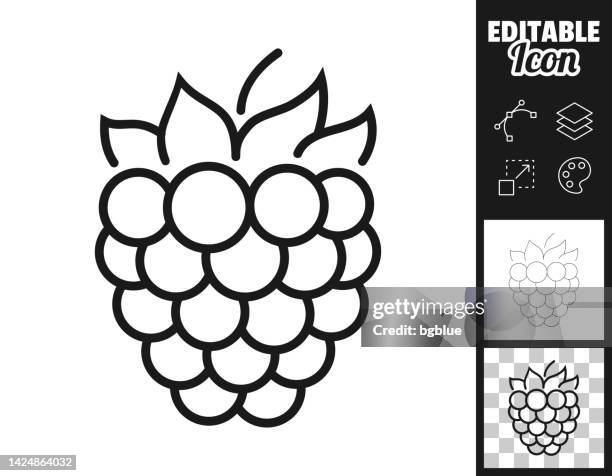 bildbanksillustrationer, clip art samt tecknat material och ikoner med raspberry. icon for design. easily editable - hallon