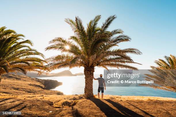 man standing under a palm tree looking at the coast of madeira, portugal - madeira island stock pictures, royalty-free photos & images