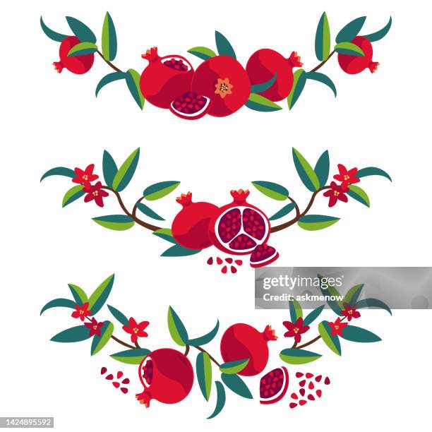 decorative elements with pomegranate - stone crop plant stock illustrations