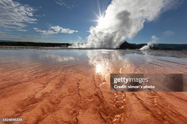 yellowstone national park geyser and steam - mammoth hot springs fotografías e imágenes de stock