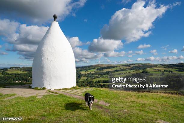 the white nancy monument on kerridge hill, bollington, cheshire, england - macclesfield stock pictures, royalty-free photos & images