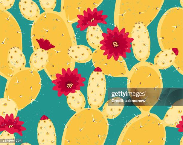 kaktusfeigen-kaktusmuster - cactus vector stock-grafiken, -clipart, -cartoons und -symbole