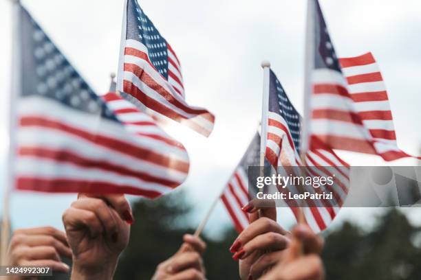 american flags raised for holiday celebrations - veteran stock pictures, royalty-free photos & images