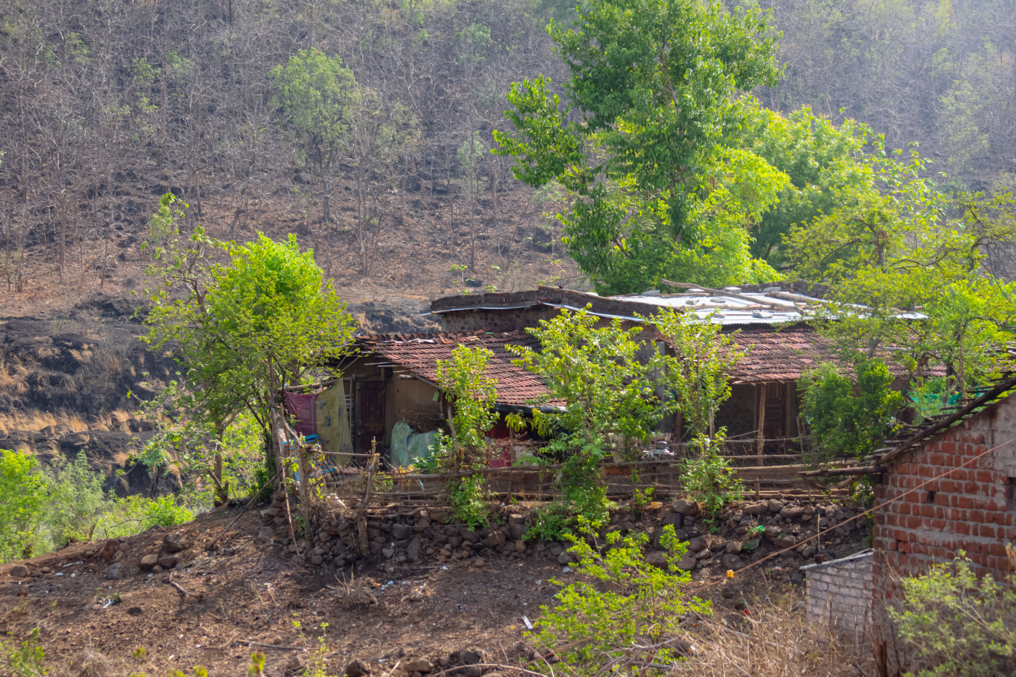 indore farmhouse