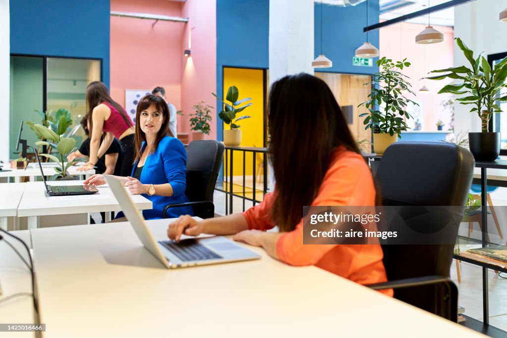 View Of A Comfortable Office Very Well Laid Out And Decorated With Five ...