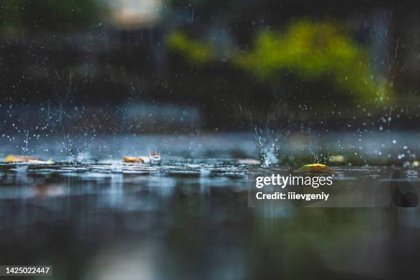 regentropfen auf asphalt. regen. regenwetter. - regen stock-fotos und bilder