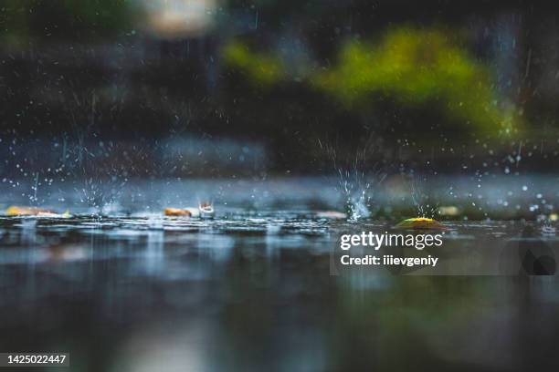 raindrops on asphalt. rain. rainy weather. - torrential rain stock pictures, royalty-free photos & images