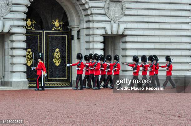 armed soldiers using bearskin are forming in the front yard at buckingham palace, london, england. - honor guard stock pictures, royalty-free photos & images