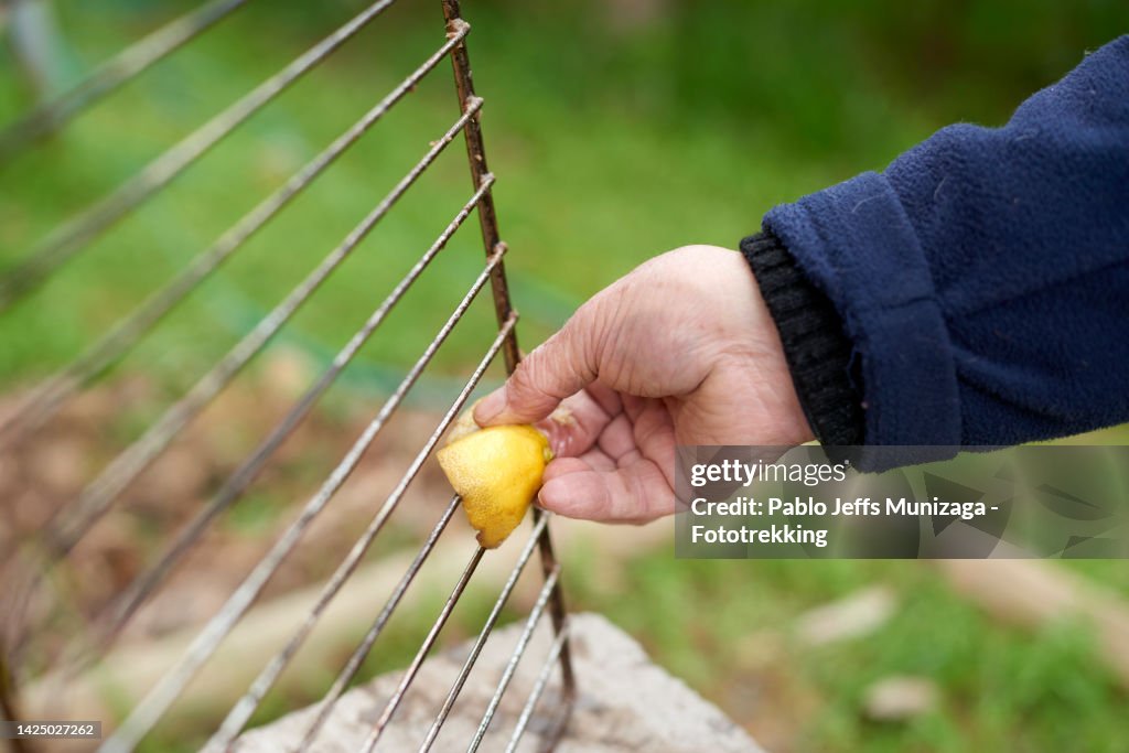 Crop person cleaning grill