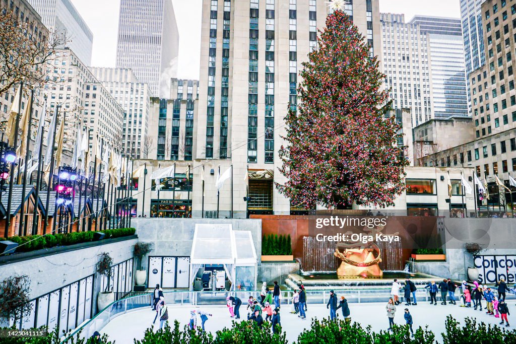 Rockefeller Tree