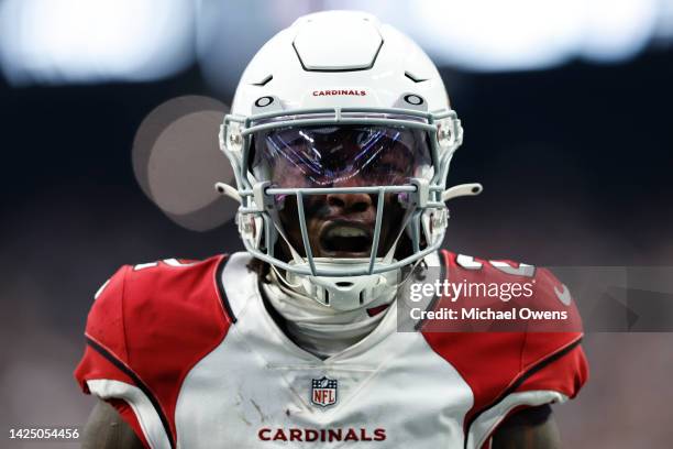 Marquise Brown of the Arizona Cardinals reacts after making a one-handed catch against the Las Vegas Raiders during the second half at Allegiant...
