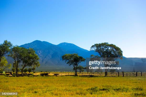 taos, nm: pradera de taos con árboles, montañas de taos en otoño - taos fotografías e imágenes de stock