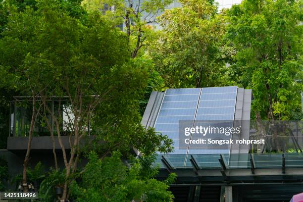 install solar cells - leaf on roof stock-fotos und bilder