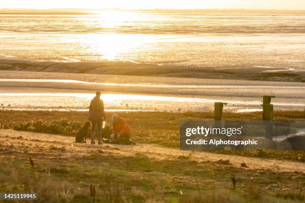 snettisham mudflats - eastern england 個照片及圖片檔