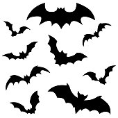 set of bats