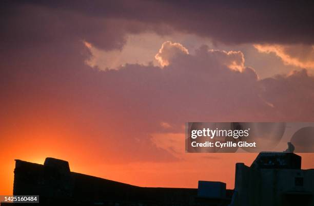 monkey on rooftop silhouetted against glowing sunset, jaipur, india - jaypour photos et images de collection