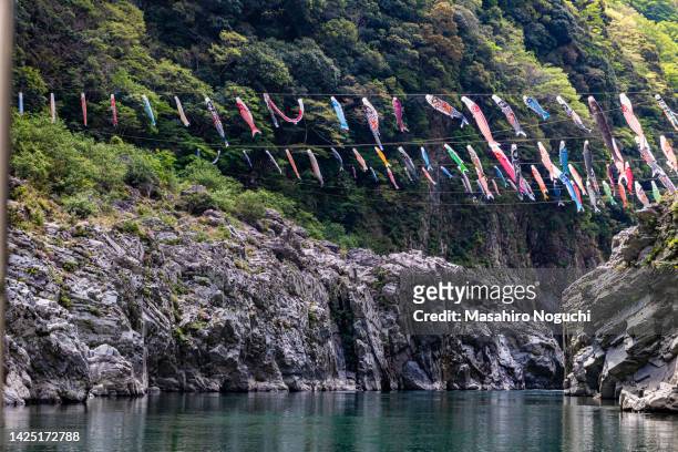 carp streamers hung up over yoshino river, oboke gorge, tokushima, japan 1 - 徳島県 fotografías e imágenes de stock